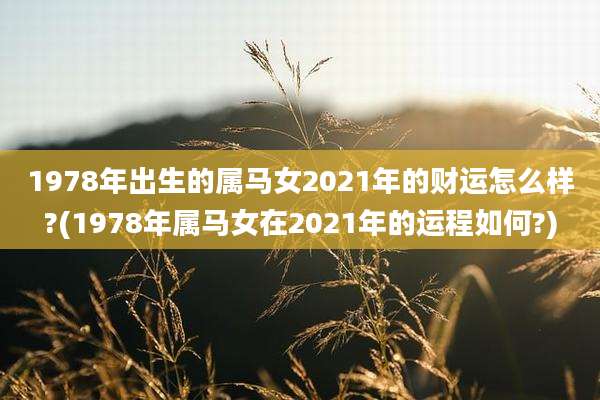1978年出生的属马女2021年的财运怎么样?(1978年属马女在2021年的运程如何?)