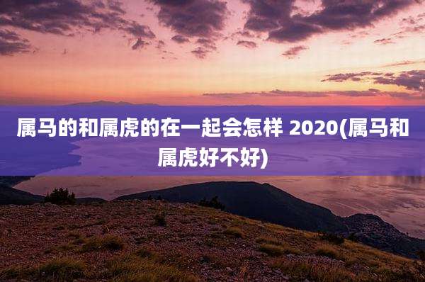 属马的和属虎的在一起会怎样 2020(属马和属虎好不好)