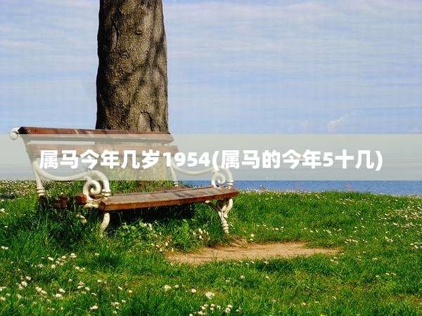 属马今年几岁1954(属马的今年5十几)