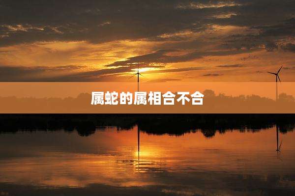 属蛇的属相合不合