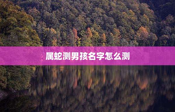 属蛇测男孩名字怎么测