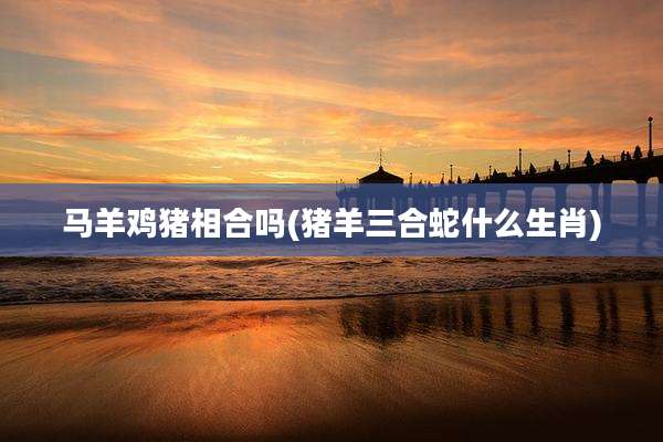 马羊鸡猪相合吗(猪羊三合蛇什么生肖)