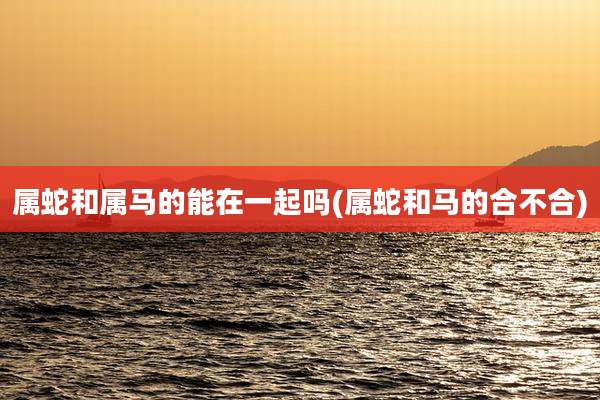 属蛇和属马的能在一起吗(属蛇和马的合不合)