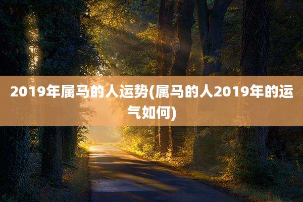 2019年属马的人运势(属马的人2019年的运气如何)