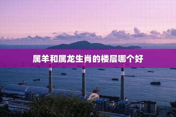 属羊和属龙生肖的楼层哪个好