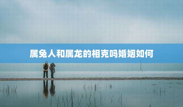 属兔人和属龙的相克吗婚姻如何