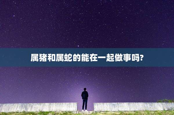 属猪和属蛇的能在一起做事吗?