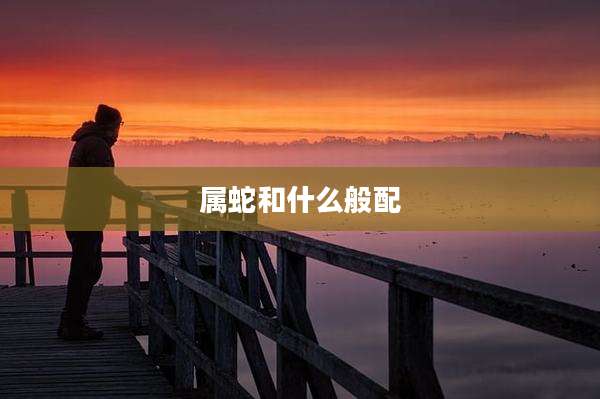 属蛇和什么般配