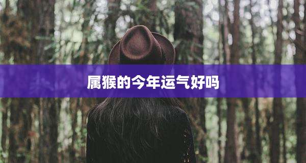 属猴的今年运气好吗