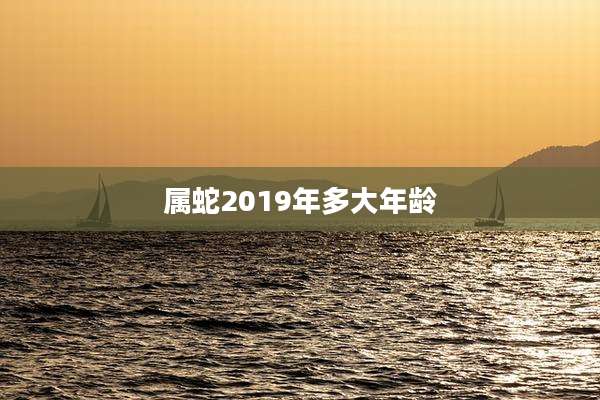 属蛇2019年多大年龄