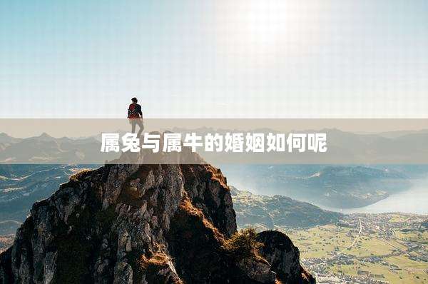 属兔与属牛的婚姻如何呢