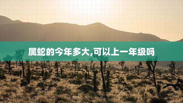 属蛇的今年多大,可以上一年级吗