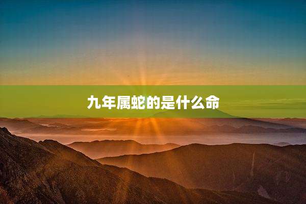 九年属蛇的是什么命