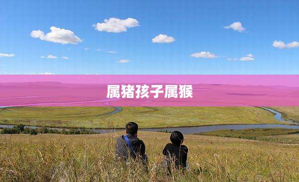 属猪孩子属猴