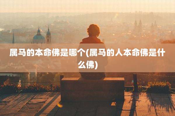 属马的本命佛是哪个(属马的人本命佛是什么佛)