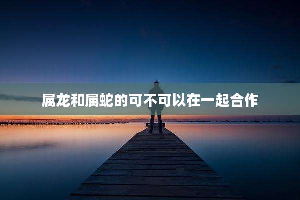 属龙和属蛇的可不可以在一起合作