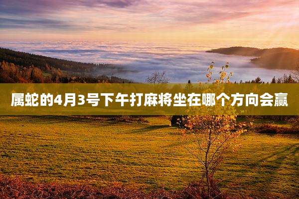 属蛇的4月3号下午打麻将坐在哪个方向会赢