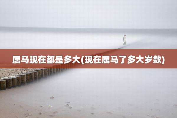 属马现在都是多大(现在属马了多大岁数)