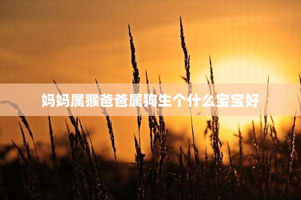 妈妈属猴爸爸属狗生个什么宝宝好