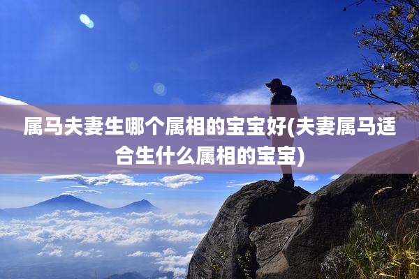 属马夫妻生哪个属相的宝宝好(夫妻属马适合生什么属相的宝宝)