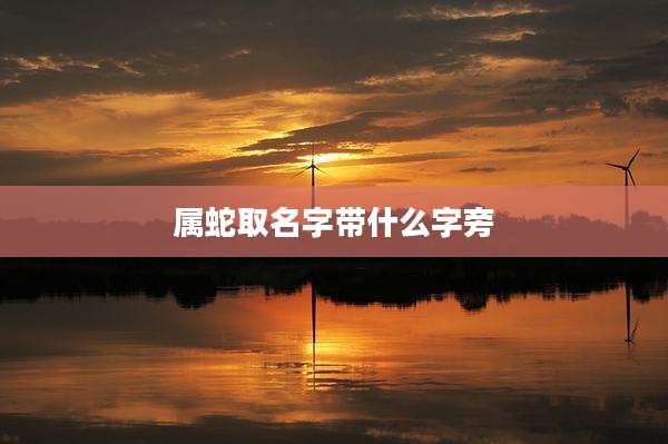 属蛇取名字带什么字旁