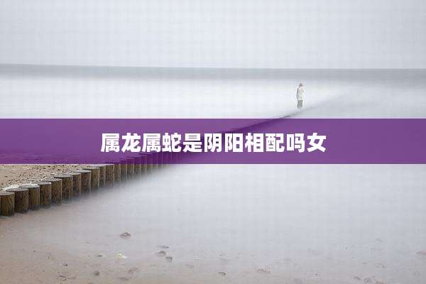 属龙属蛇是阴阳相配吗女