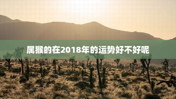 属猴的在2018年的运势好不好呢