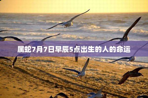 属蛇7月7日早辰5点出生的人的命运