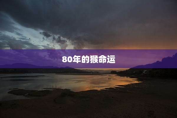 80年的猴命运