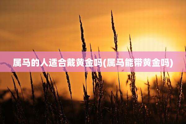 属马的人适合戴黄金吗(属马能带黄金吗)