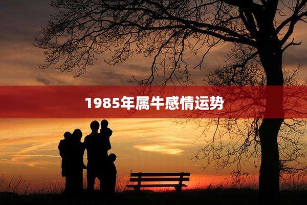 1985年属牛感情运势