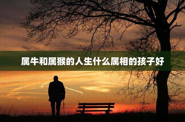 属牛和属猴的人生什么属相的孩子好