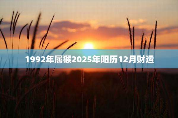 1992年属猴2025年阳历12月财运