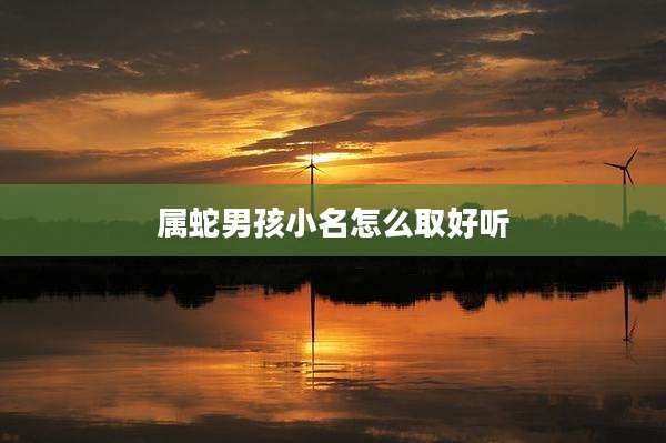 属蛇男孩小名怎么取好听