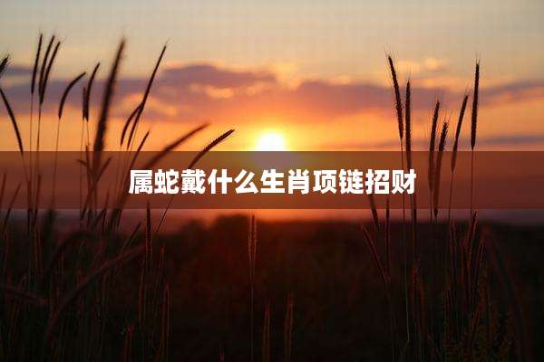 属蛇戴什么生肖项链招财