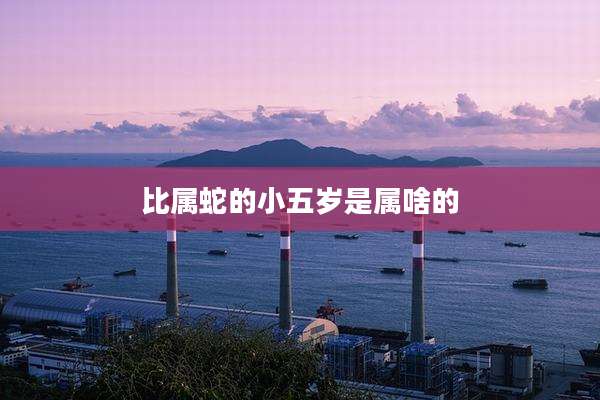 比属蛇的小五岁是属啥的