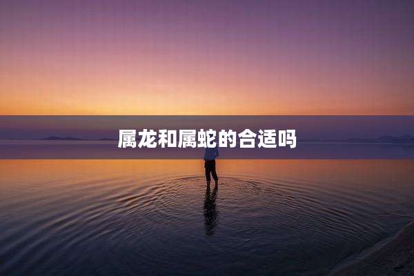 属龙和属蛇的合适吗