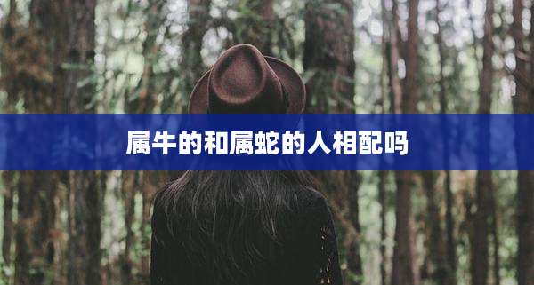 属牛的和属蛇的人相配吗