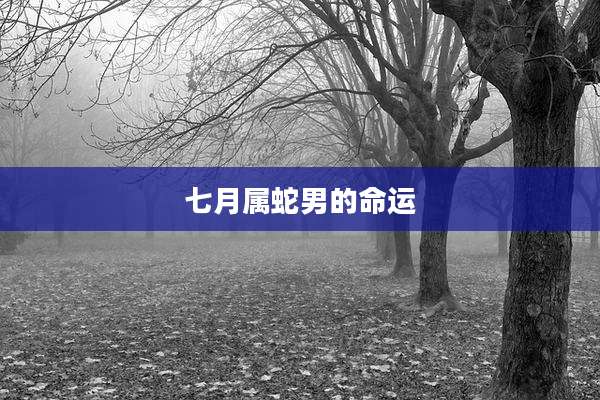 七月属蛇男的命运