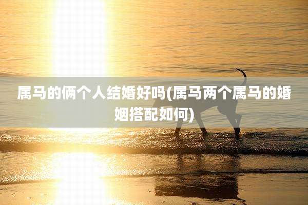 属马的俩个人结婚好吗(属马两个属马的婚姻搭配如何)