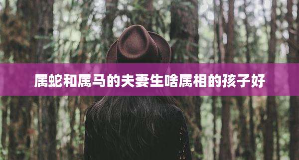属蛇和属马的夫妻生啥属相的孩子好