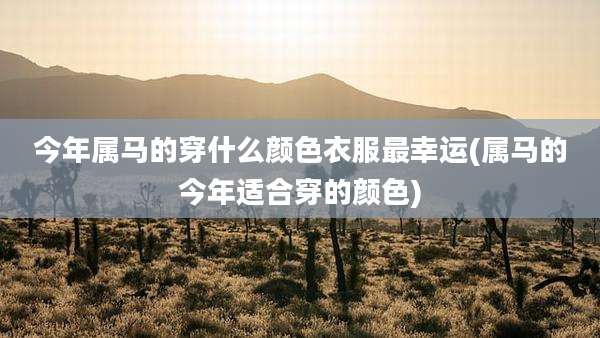 今年属马的穿什么颜色衣服最幸运(属马的今年适合穿的颜色)