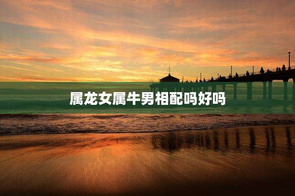 属龙女属牛男相配吗好吗