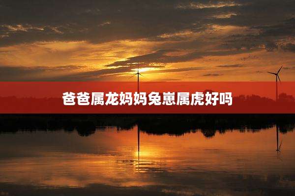 爸爸属龙妈妈兔崽属虎好吗