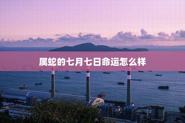 属蛇的七月七日命运怎么样