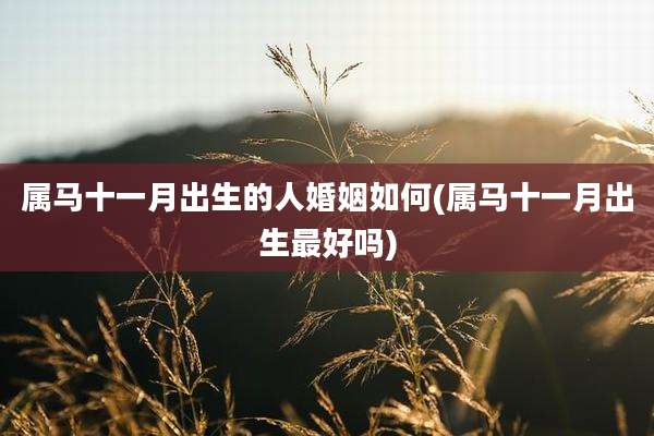 属马十一月出生的人婚姻如何(属马十一月出生最好吗)
