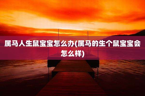 属马人生鼠宝宝怎么办(属马的生个鼠宝宝会怎么样)