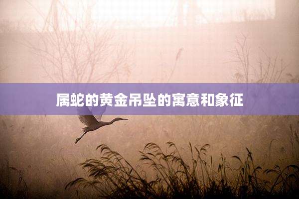 属蛇的黄金吊坠的寓意和象征