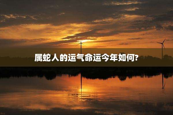 属蛇人的运气命运今年如何?