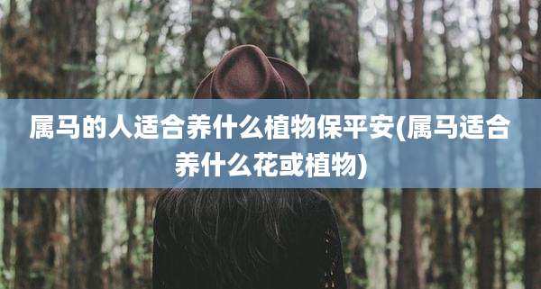 属马的人适合养什么植物保平安(属马适合养什么花或植物)